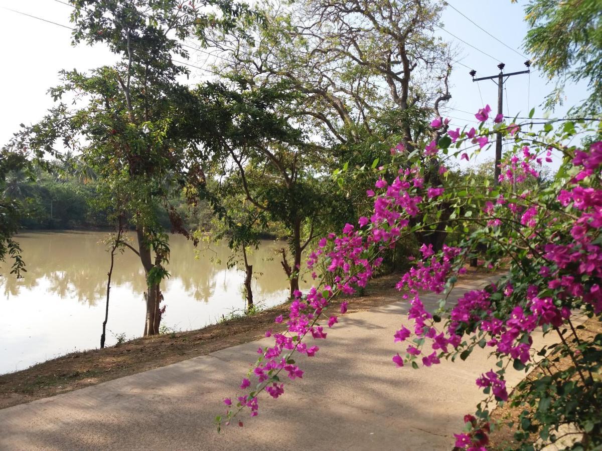 Hotel Heaven In Satinwoods Tangalle Exterior foto